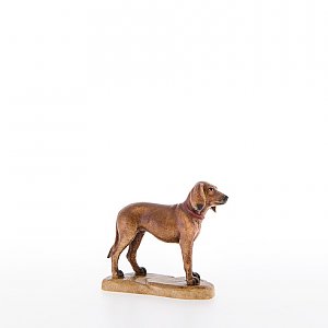 LP22055Color20 - Sporting dog