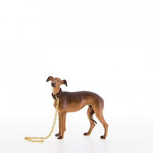 LP22057-ANatur12 - Greyhound