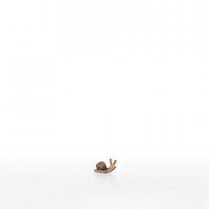 LP22205-ANatur12 - Little snail
