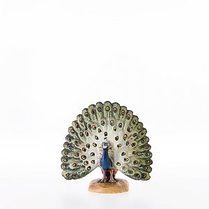 LP22250Color13 - Peacock