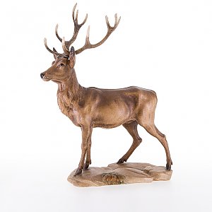 LP23003Color16 - Deer