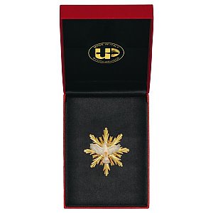 UP251100E - Holy Spirit with Halo round + Case Exclusive