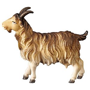 UP700139Echt Gold An - UL Goat