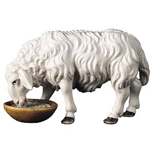 UP700142Color15 - UL Drinking sheep