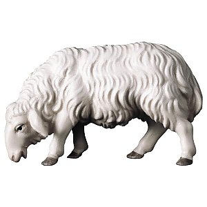 UP700143Color15 - UL Grazing sheep
