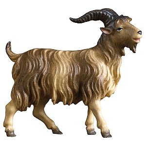 UP700146Echt Gold An - UL He-Goat