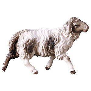 UP700154Echt Gold An - UL Running sheep blotched