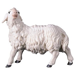UP700170Color15 - UL Sheep looking leftward