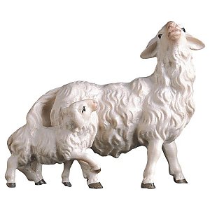 UP780135Natur15 - SH Sheep with lamb at it´s back