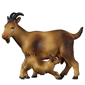 UP800138Color10 - SA Goat with kid