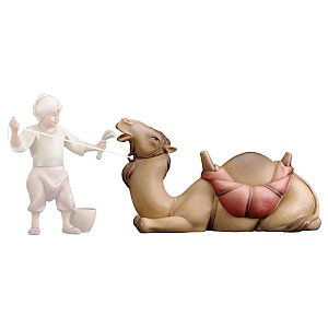 UP900021Color16 - CO Lying camel