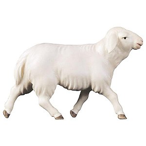 UP900130Color10 - CO Running sheep
