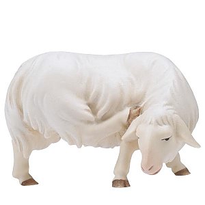 UP900133Color25 - CO Rasping sheep