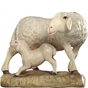 20DA150014012 - Pecora con agnello