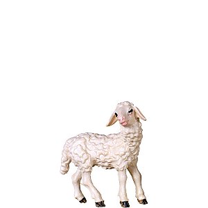DU4162Natur20 - Lamb standing D.K.