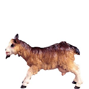 DU4174Natur20 - Nanny goat D.K.