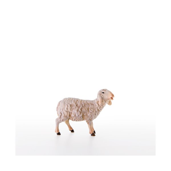 LP21206-A - Schaf stehend