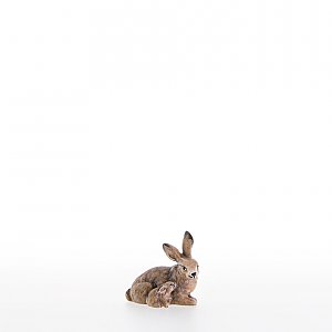 LP22150Color10 - Hare