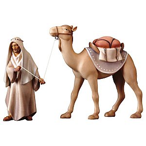 UP800KASColor10 - RE Gruppo del cammello in piedi - 3 Pezzi
