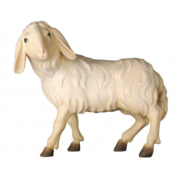 20DA155017 - Schaf stehend
