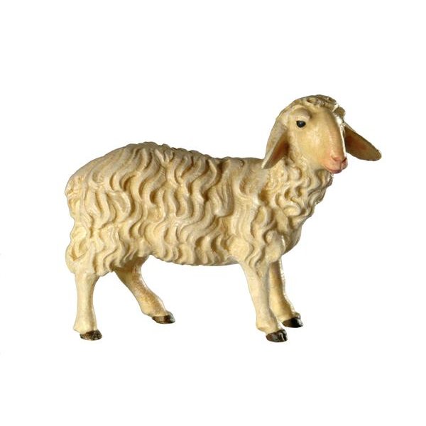 BH5030 - Schaf stehend 