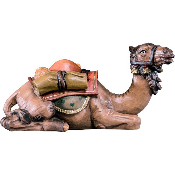 DU4496 - Kamel liegend R.K.