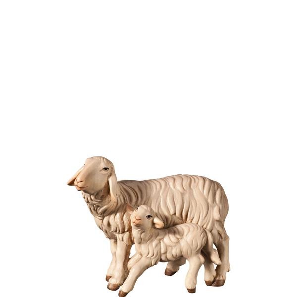FL427435 - H-Schaf und Lamm stehend