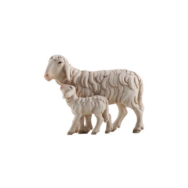 IE052070 - IN Schaf laufend mit Lamm