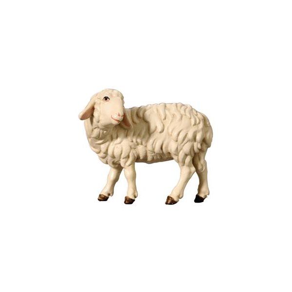 IE053056 - SI Schaf zurückschauend