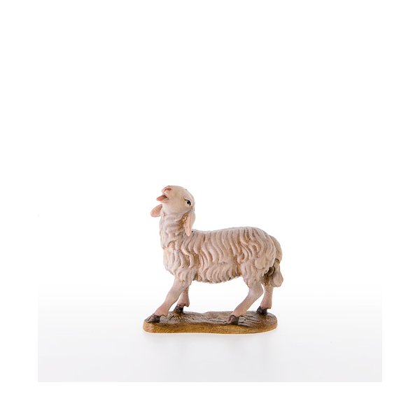 LP21203 - Schaf mit erhobenen Kopf