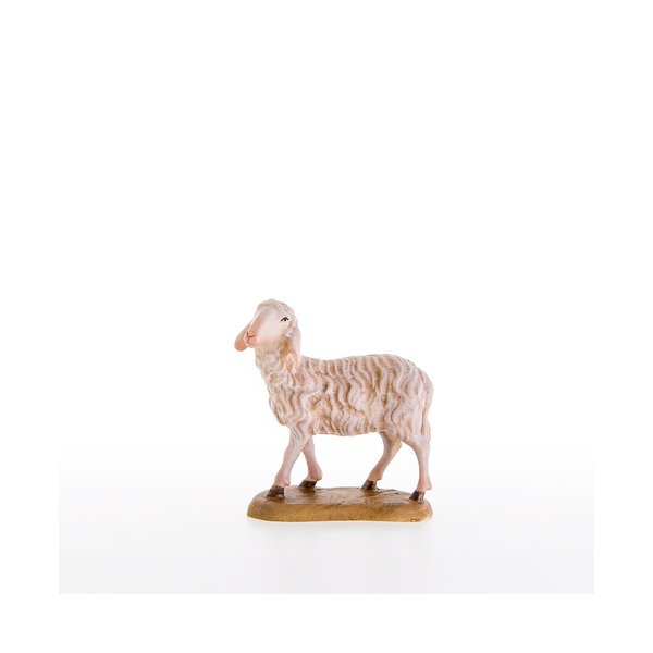 LP21205 - Schaf stehend