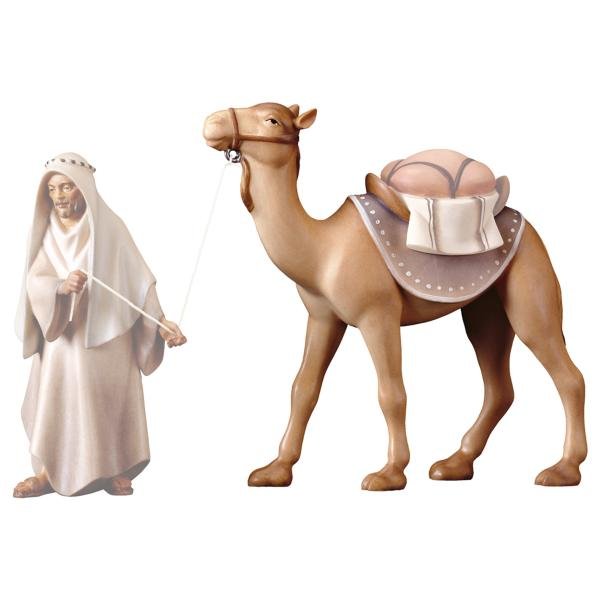 UP800018 - HE Kamel stehend