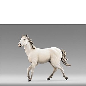 HD236401Wcolor14 - Pferd Weiss