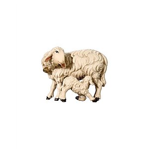 IE053059Natur18 - SI Schaf mit Lamm saugend