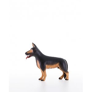 LP10200-26AColor8 - Schaeferhund
