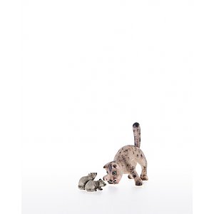 LP10200-71Color13 - Katze mit breiten Vorderbeinen