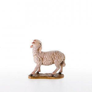 LP21203Natur13 - Schaf mit erhobenen Kopf