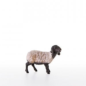 LP21206-ASColor20 - Schwarzkoepfiges Schaf stehend