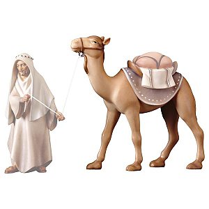 UP900018Natur16 - KO Kamel stehend