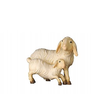 20DA155020 - Pecora con agnello