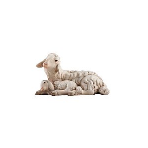 IE052069Color14 - IN Pecora sdraiata con agnello che dorme