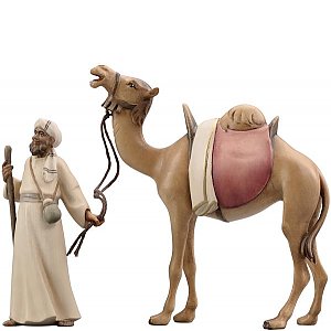 IE054048+49 - LI Camelliere con camello