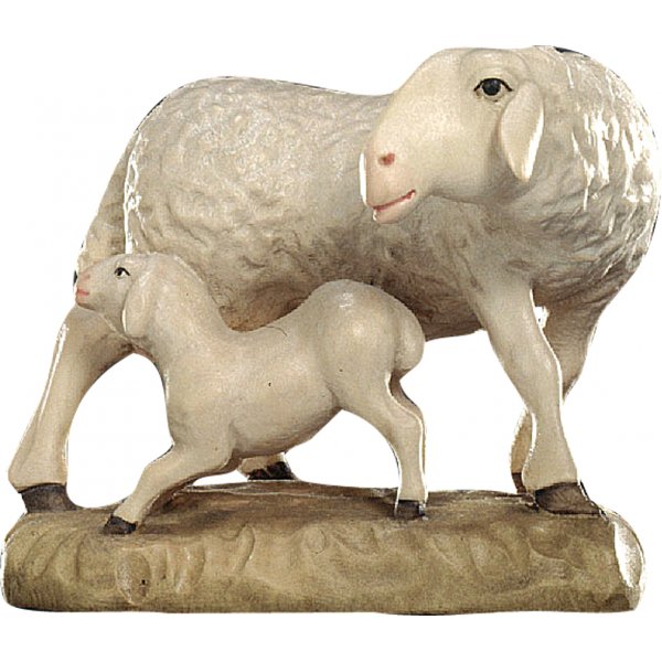 20DA150014 - Pecora con agnello