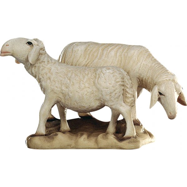 20DA150027 - Gruppo di pecore