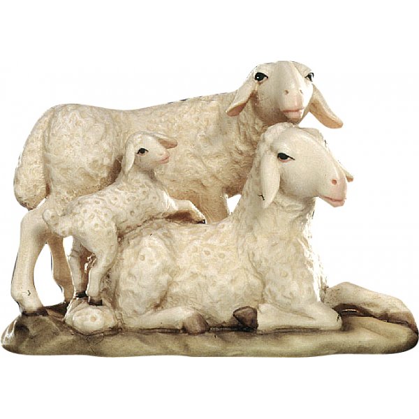 20DA150028 - Gruppo di pecore con agnello