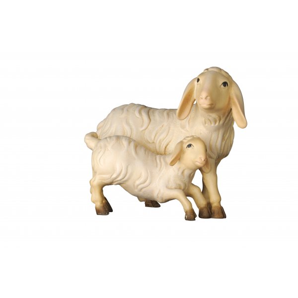20DA155020 - Pecora con agnello
