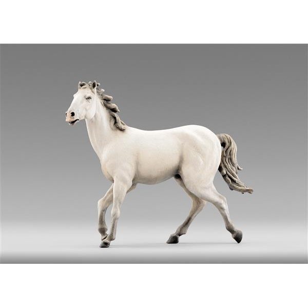 HD236401W - Cavallo Bianco