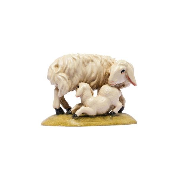 IE050014 - IN C.b.Gruppo di pecore