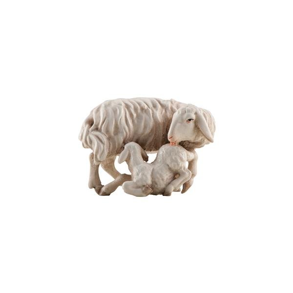 IE051014 - IN Pecora con agnello latante