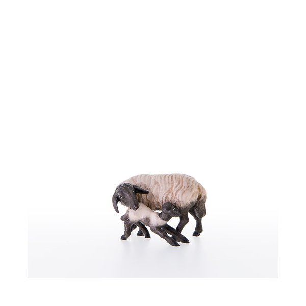 LP21200-AS - Pecora con agnello e testa nera